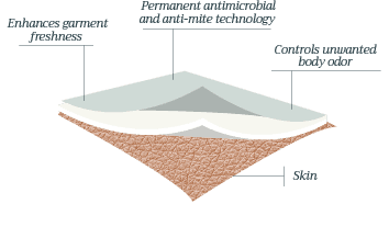 PowerControl® antimicrobial structure diagram